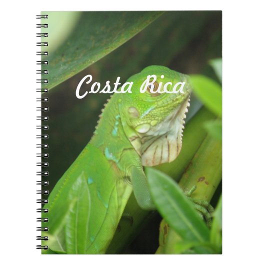 Costa Rican Lizard Notitieboek (Voorkant)