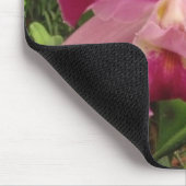 Costa Rican Orchid Muismat (Hoek)