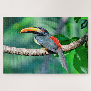 Costa Rican Toucan Jigzaag Puzzle Legpuzzel