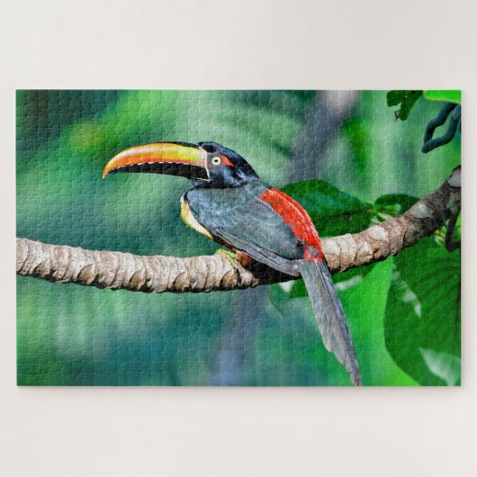 Costa Rican Toucan Jigzaag Puzzle Legpuzzel (Horizontaal)