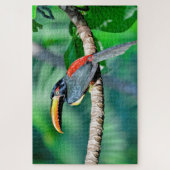 Costa Rican Toucan Jigzaag Puzzle Legpuzzel (Verticaal)