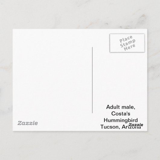 Costa's Hummingbird Briefkaart (Achterkant)