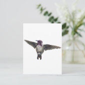 Costa's Hummingbird Briefkaart (Staand voorkant)