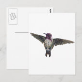 Costa's Hummingbird Briefkaart (Voorkant / Achterkant)