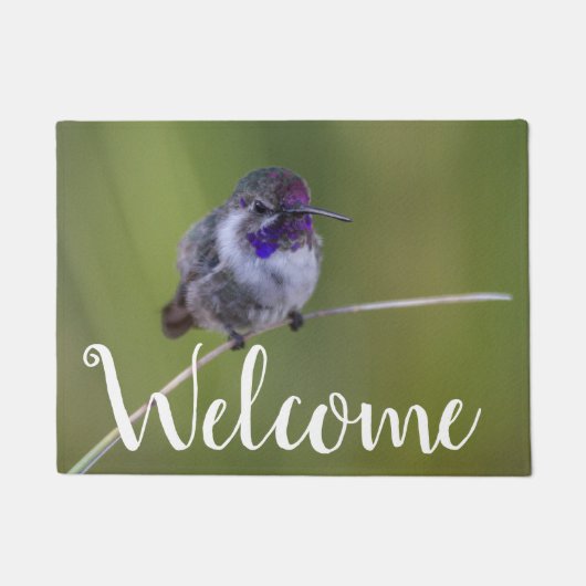 Costa's Hummingbird in augustus licht Deurmat (Voorkant)