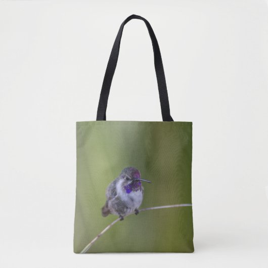Costa's Hummingbird in augustus licht Tote Bag (Voorkant)