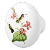 Costa's Hummingbird Keramische Knop (Rechts)