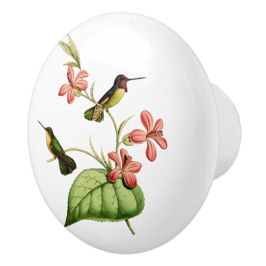 Costa's Hummingbird Keramische Knop (Rechts)