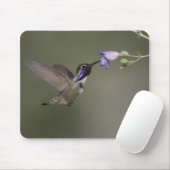 Costa's Hummingbird Mousepad Muismat (Met muis)