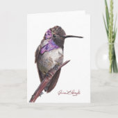 Costa's Hummingbird Note Card Bedankkaart (Voorkant)