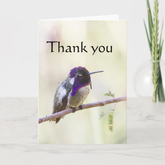 Costa's Hummingbird op een tak Bedankkaart (Voorkant)