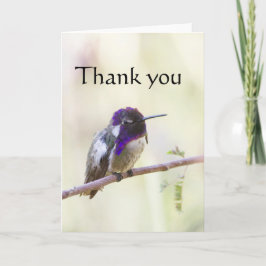 Costa's Hummingbird op een tak Bedankkaart