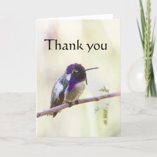 Costa's Hummingbird op een tak Bedankkaart