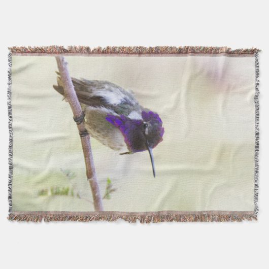 Costa's Hummingbird op een tak Deken (Voorkant)
