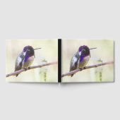 Costa's Hummingbird op een tak Gastenboek (Volledig)