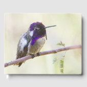 Costa's Hummingbird op een tak Gastenboek (Voorkant)