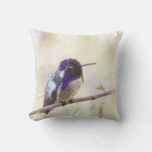 Costa's Hummingbird op een tak Kussen