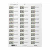 Costa's Hummingbird op nadering Etiket (Full Sheet)