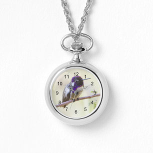 Costa's Hummingbird Perched op een tak Horloge