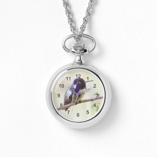 Costa's Hummingbird Perched op een tak Horloge (Voorkant)