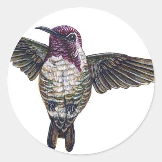 Costa's Hummingbird Ronde Sticker (Voorkant)