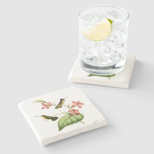 Costa's Hummingbird Stenen Onderzetter