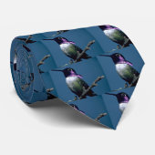 Costa's kolibrie, Calypte costae, Sacremento, U Stropdas (Opgerold)