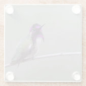 Costa's kolibrie glazen onderzetter (Achterkant)