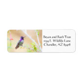 Costa's kolibrie onder de loof etiket (Voorkant)