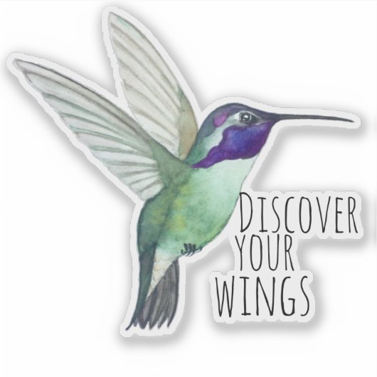 Costa's kolibrie Sticker (Voorkant)