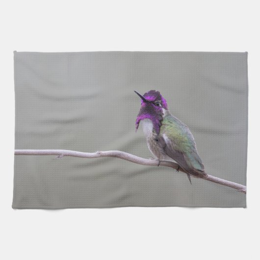 Costa's kolibrie theedoek (Horizontaal)