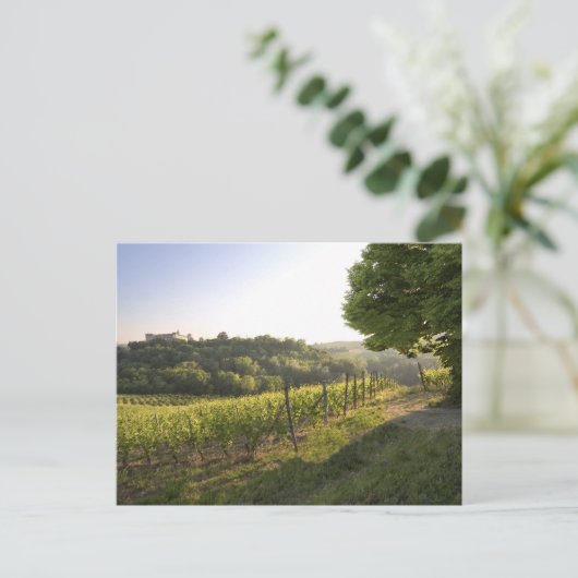 Costigliole d'Asti , Piemonte, Italië Briefkaart (Staand voorkant)