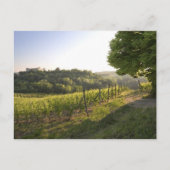 Costigliole d'Asti , Piemonte, Italië Briefkaart (Voorkant)