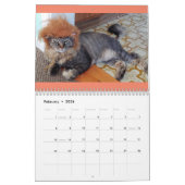 Costumed Cats 2019 Calendar Kalender (Feb 2026)
