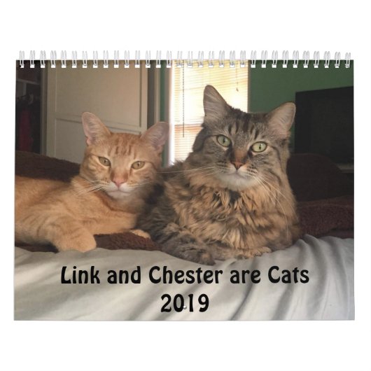 Costumed Cats 2019 Calendar Kalender (Hoes)