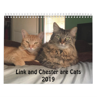 Costumed Cats 2019 Calendar Kalender