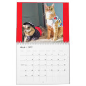 Costumed Cats 2019 Calendar Kalender (Mar 2027)