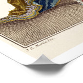 Costuum voor Apollo in de opera "Phaethon", engrav Poster (Hoek)