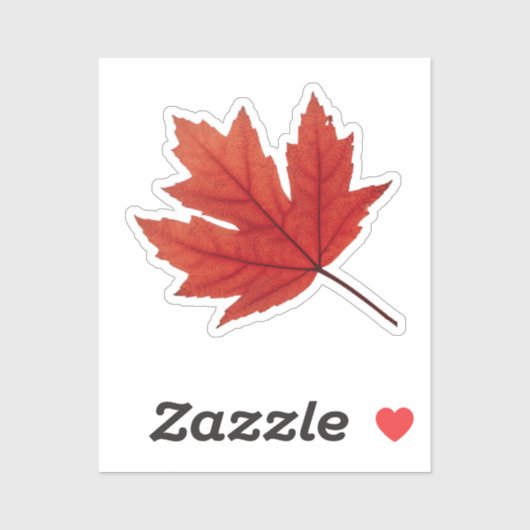 Cosy Autumn Vibes: het Herfst seizoen Sticker (Vel)