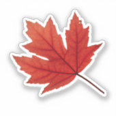 Cosy Autumn Vibes: het Herfst seizoen Sticker (Voorkant)