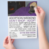 Cosy Dog, Advertentie voor evenement voor het adop Flyer (Hand)