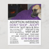 Cosy Dog, Pet Adoption Event Advertising Flyer (Voorkant)