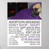 Cosy Dog, Pet Adoption Event Advertising Poster (Voorkant)