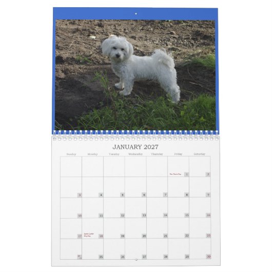 Coton Calendar Kalender (Jan 2027)