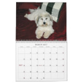 Coton Calendar Kalender (Mar 2027)