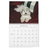 Coton Calendar Kalender (Mar 2026)