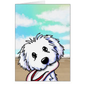 Coton de Tulear (Voorkant)