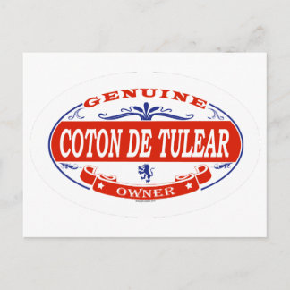 Coton De Tulear Briefkaart