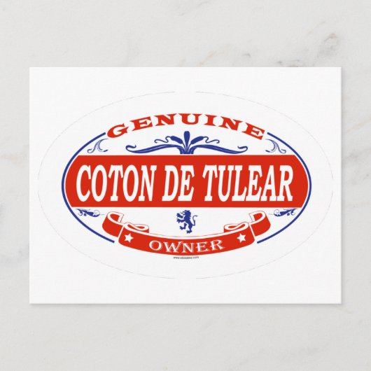 Coton De Tulear Briefkaart (Voorkant)