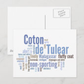 Coton de Tulear Briefkaart (Voorkant / Achterkant)